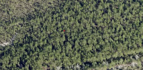 45 Acres Land Near Jacksonville