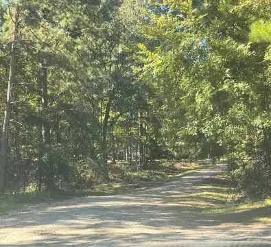 Shaded Lots Near Lake