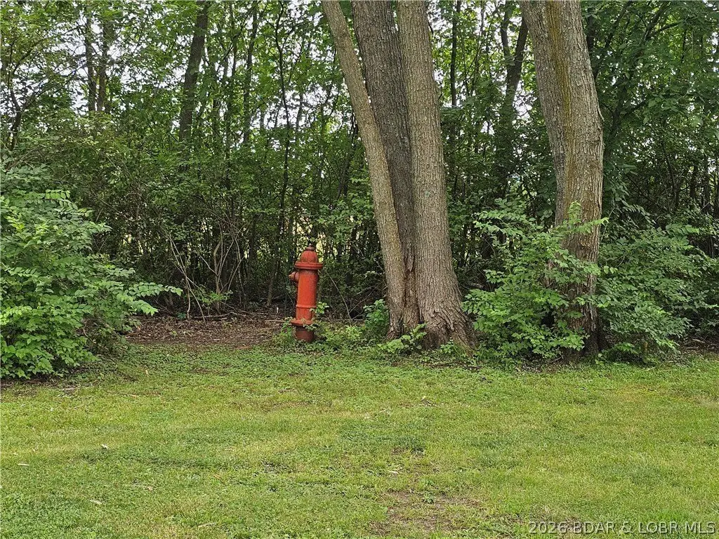 Picture 17
