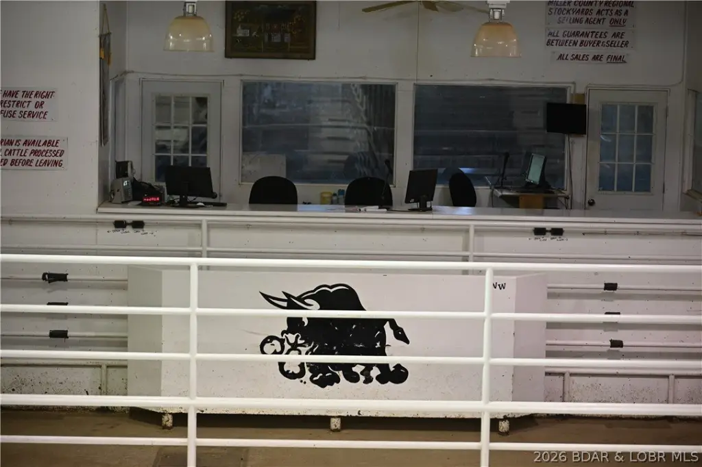 Picture 4