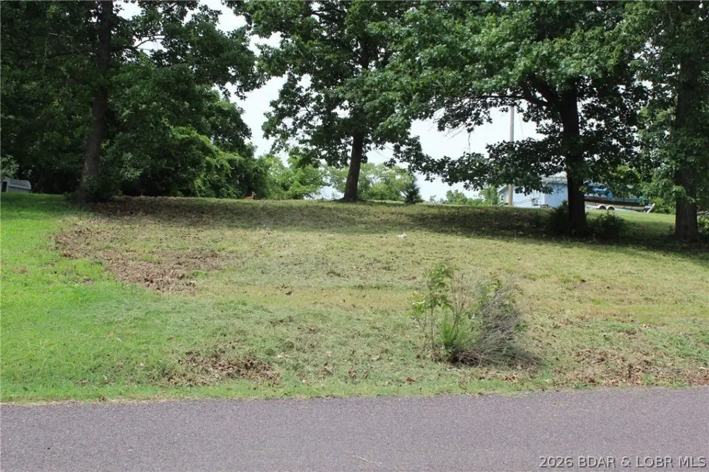 Picture 8