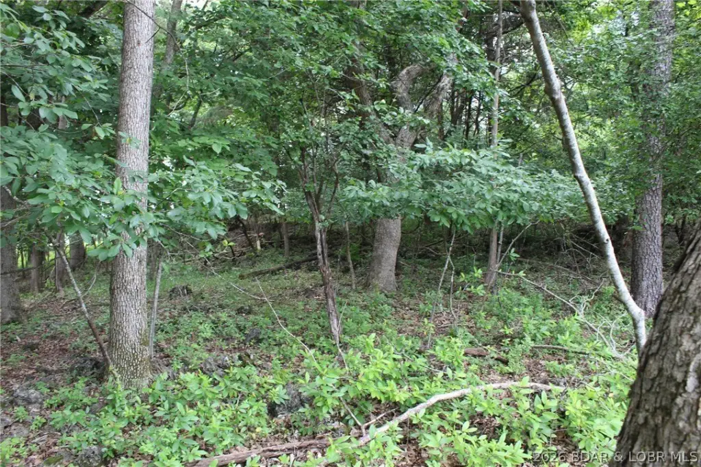 Picture 19