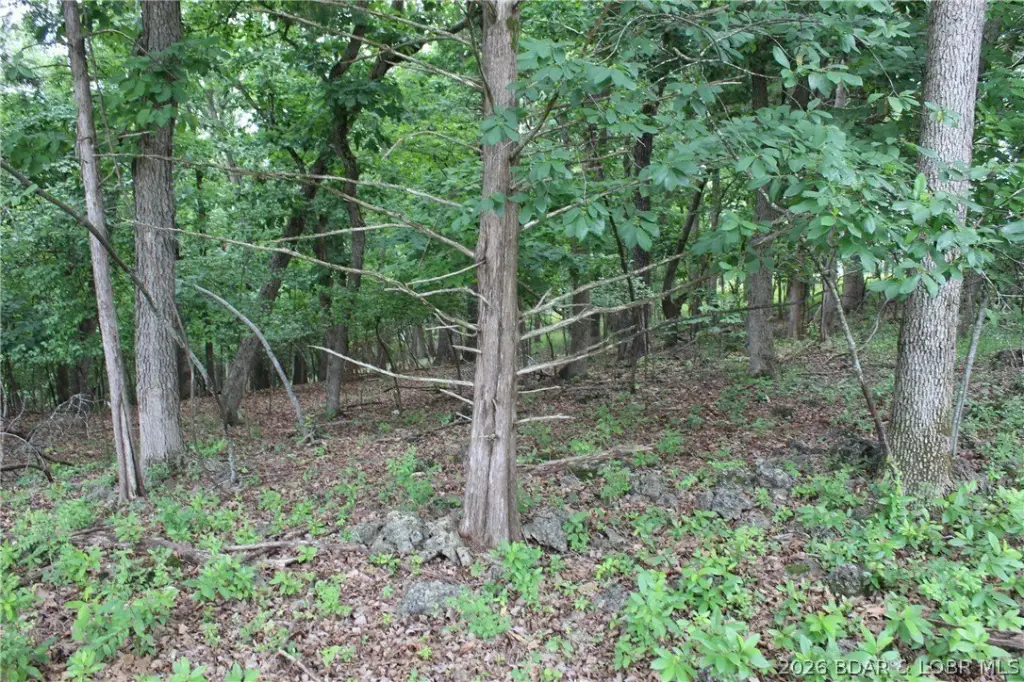 Picture 20
