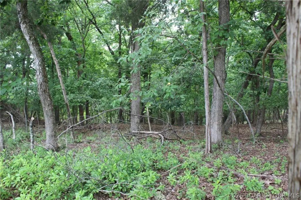 Picture 21