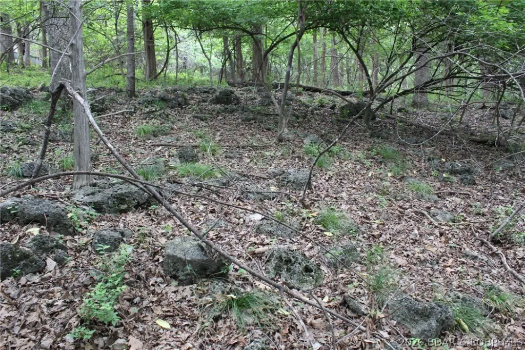 Picture 24