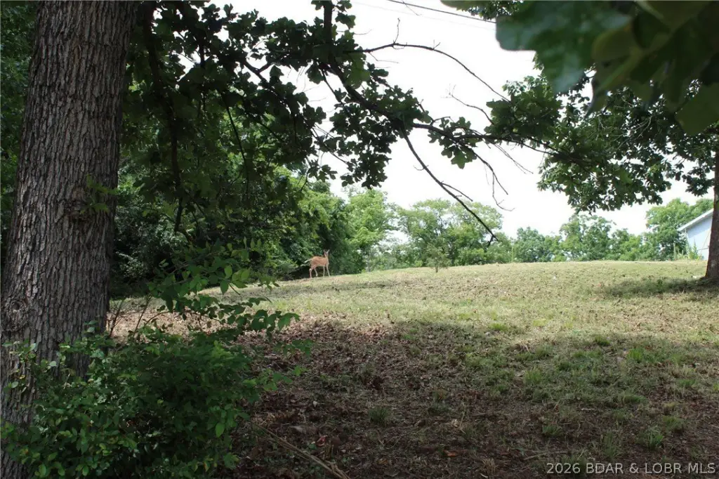 Picture 34