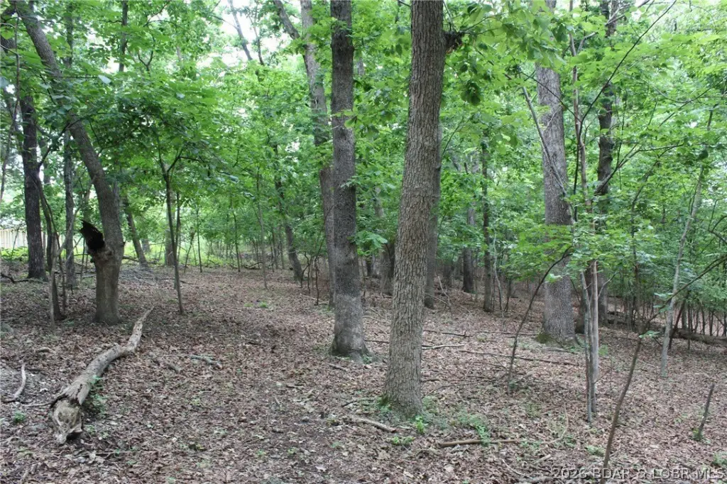 Picture 26