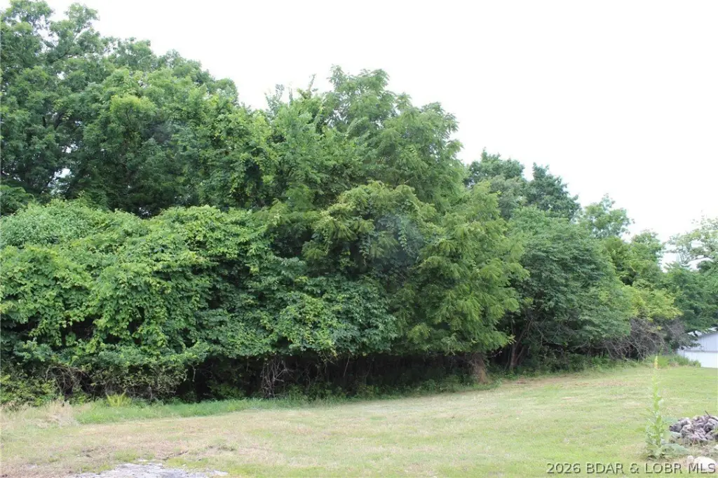 Picture 16