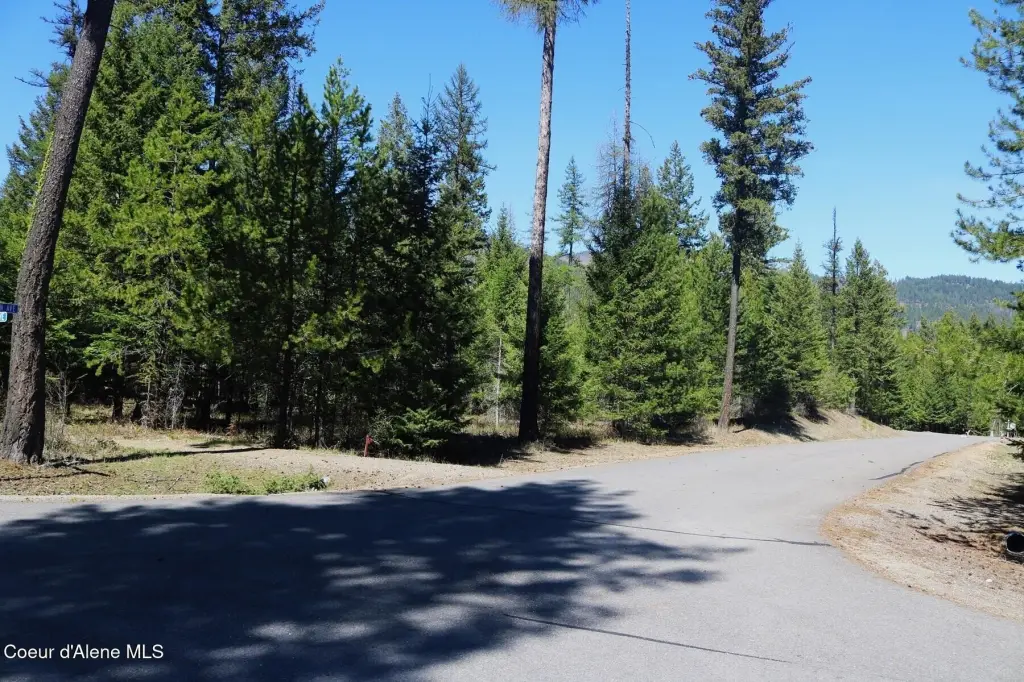 Picture 8