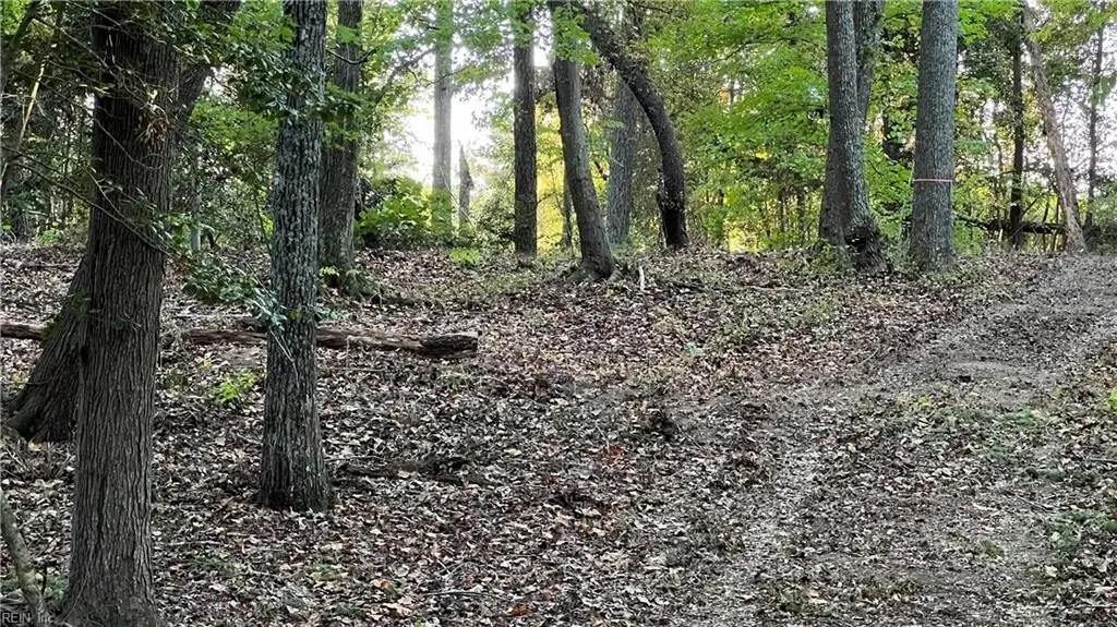 Picture 25