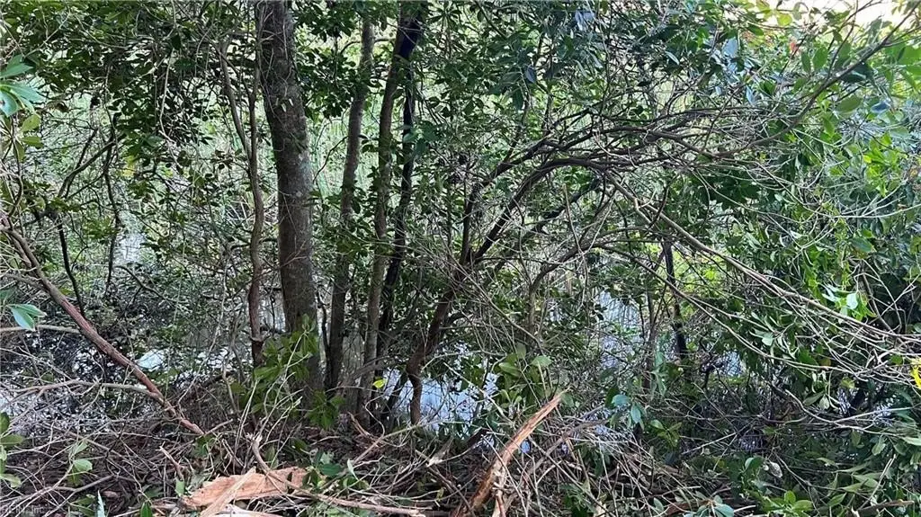 Picture 17