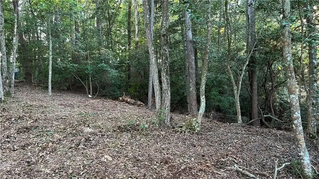 Picture 20