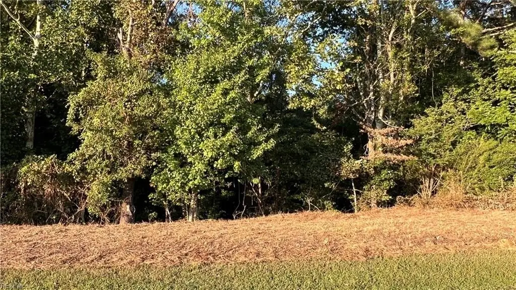 Picture 28
