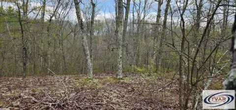 Holladay, TN Vacant Lot