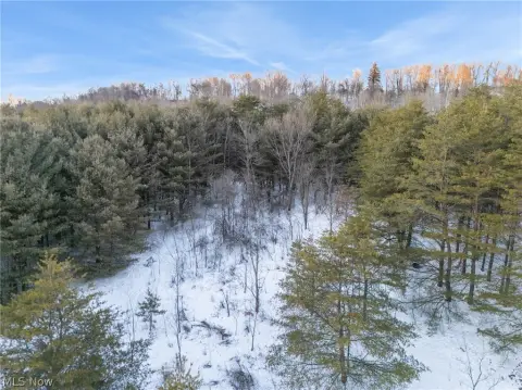 52 Acres Land in Ohio