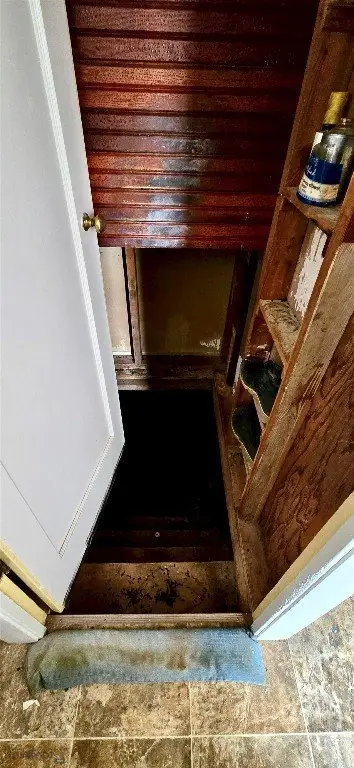 Picture 23