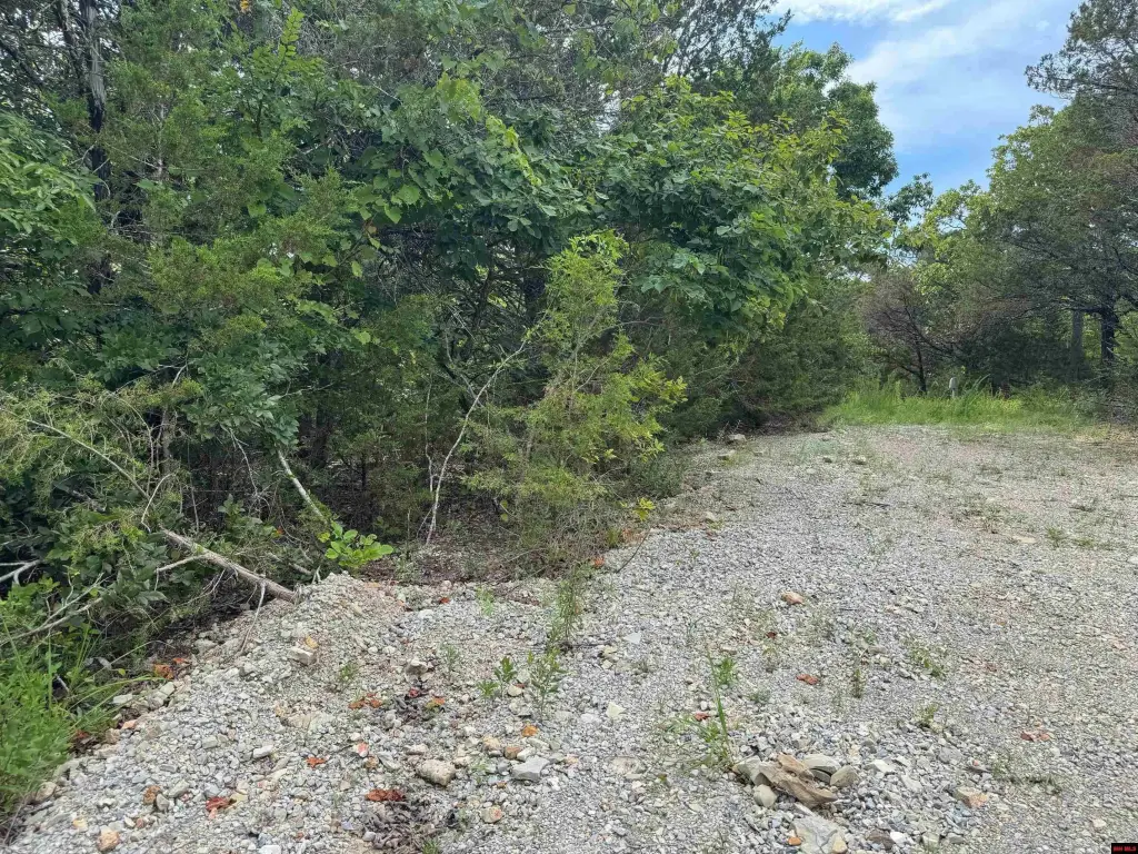 Picture 21