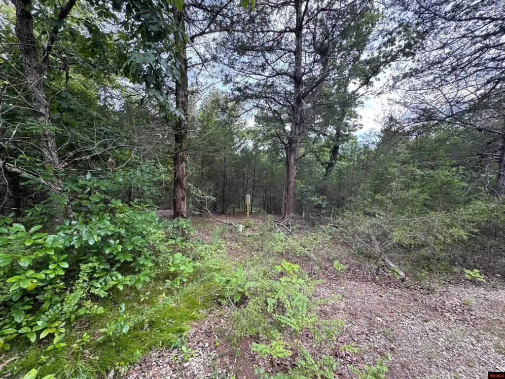 Picture 14