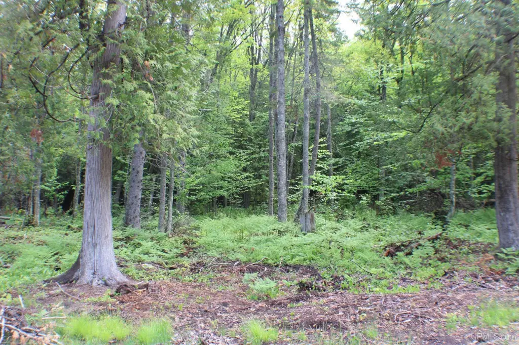 Picture 10