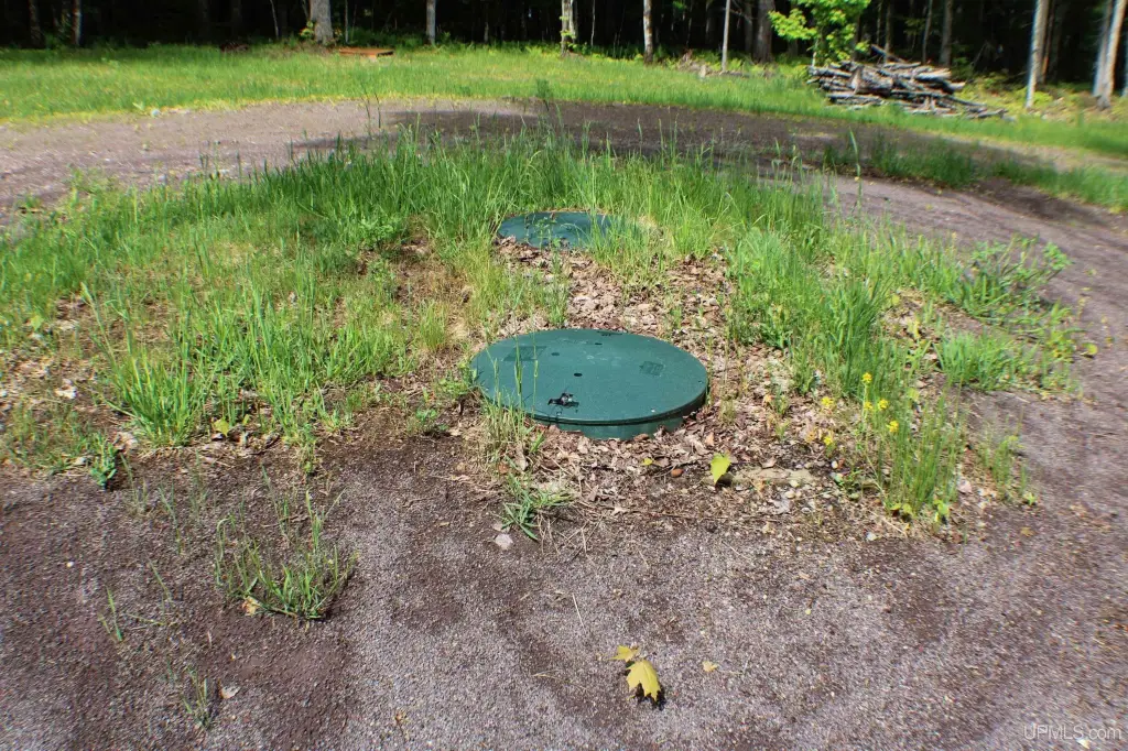 Picture 36