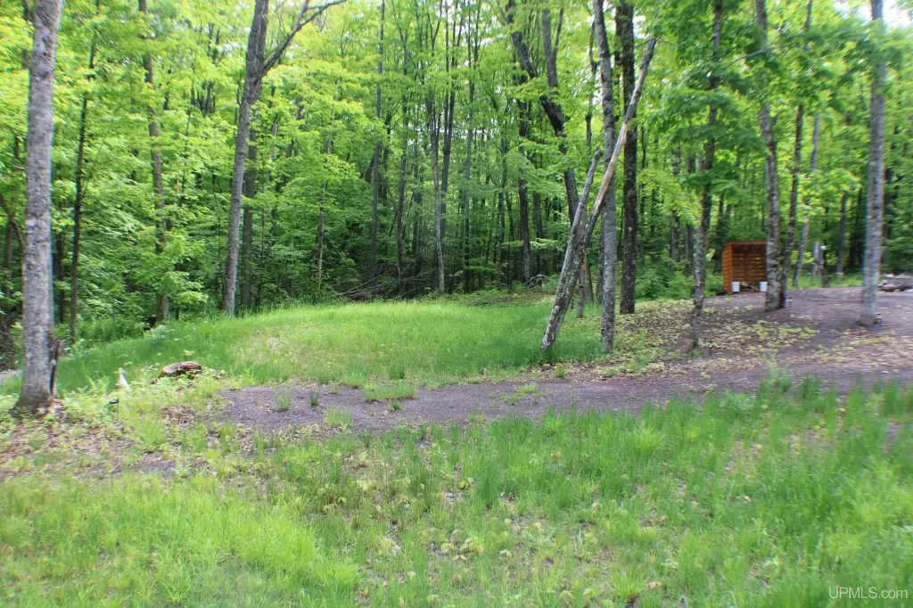 Picture 8