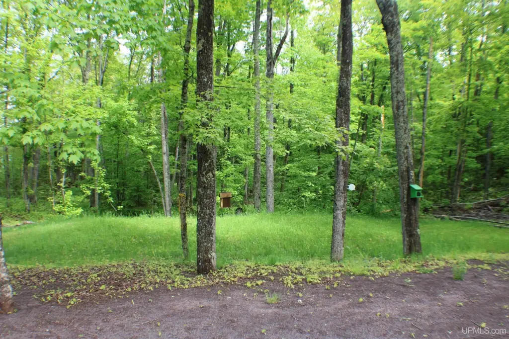 Picture 12