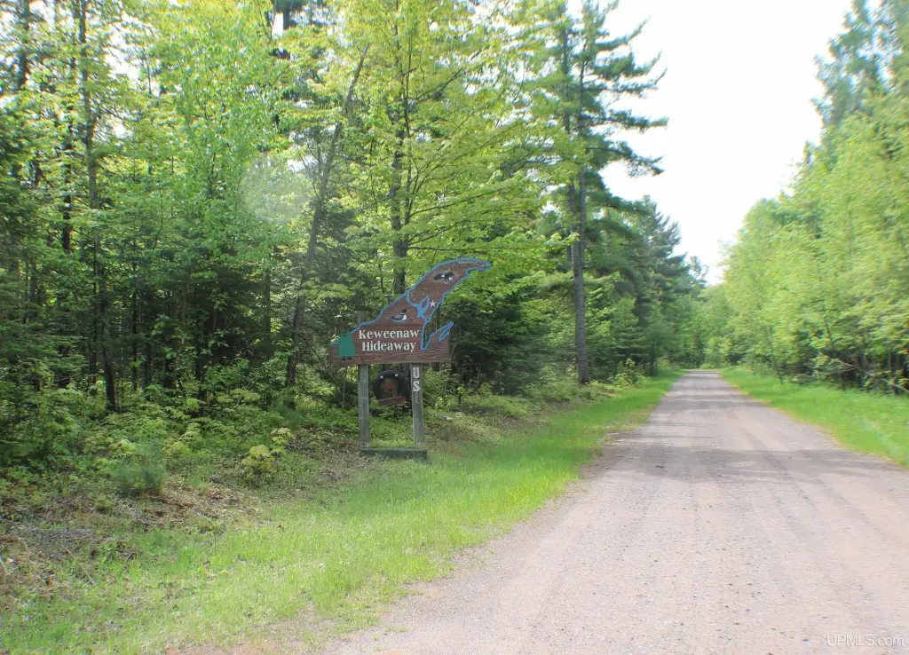 Picture 46