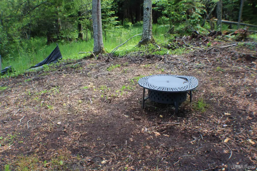 Picture 35