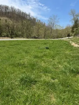 Prestonsburg Land with Riding Trails