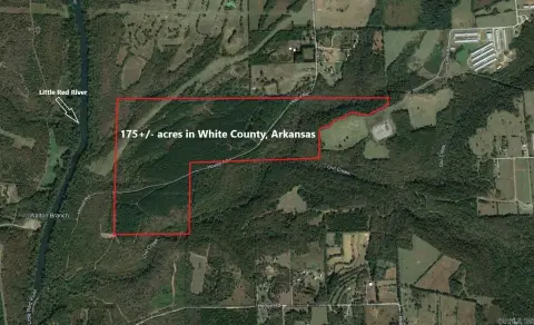 175 Acres of Timber Land