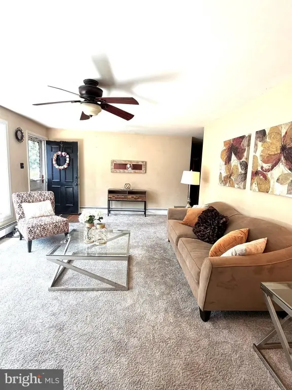 Picture 5
