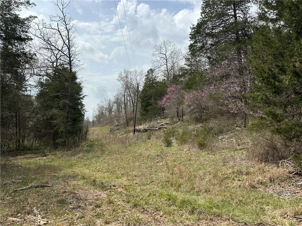 Picture 13