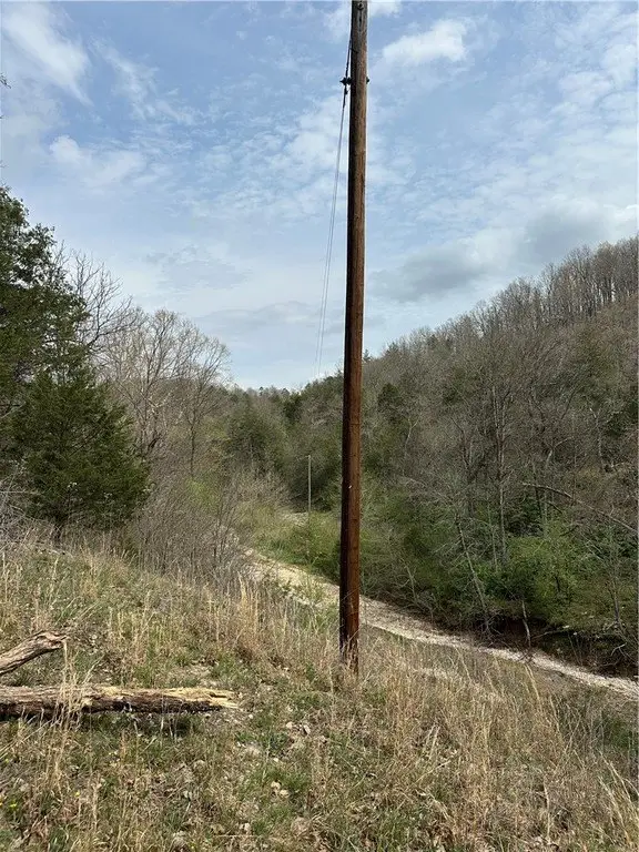 Picture 12