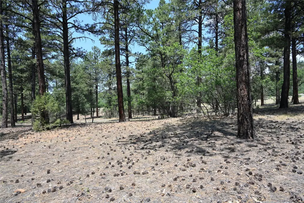 Picture 23