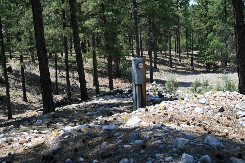 Picture 17