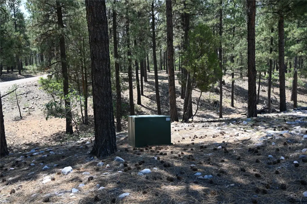 Picture 16