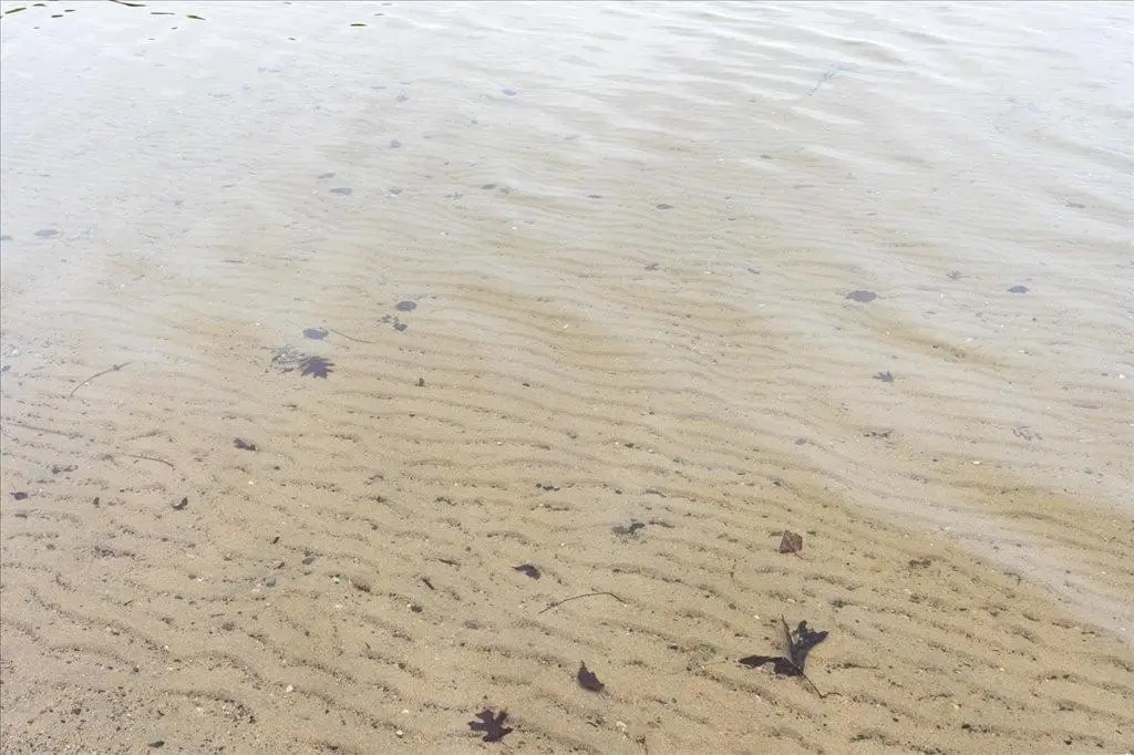 Picture 3