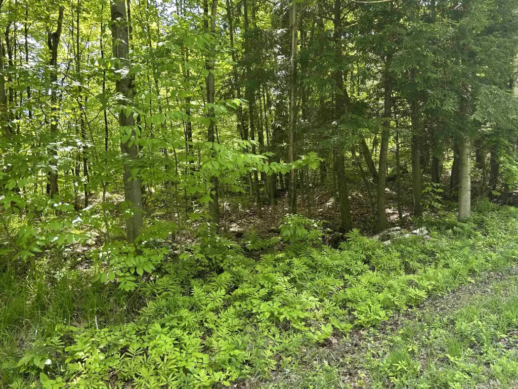 Picture 14