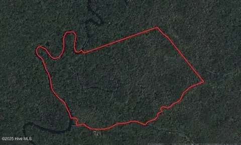 Secluded Hunting Land on Waccamaw