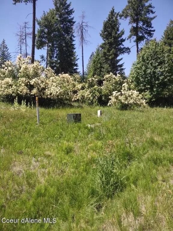 Picture 11