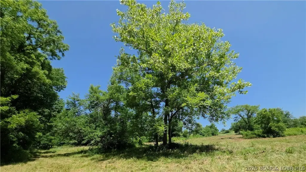 Picture 29