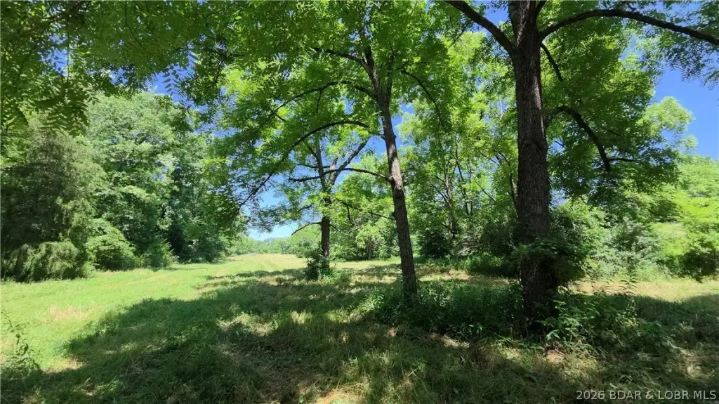 Picture 14