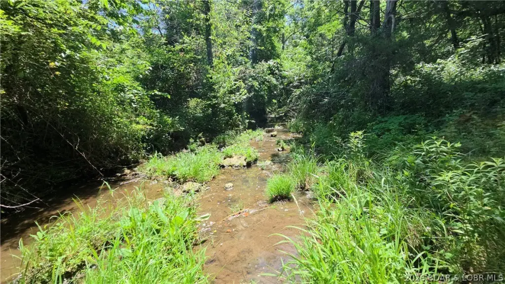 Picture 5