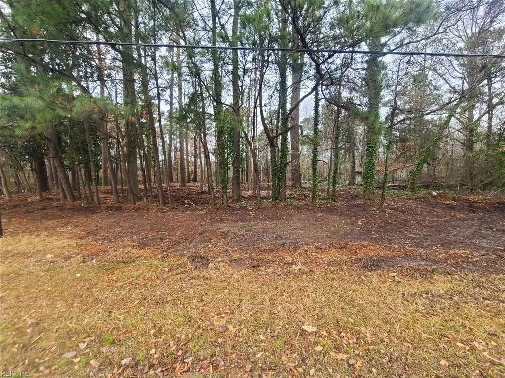 Picture 6