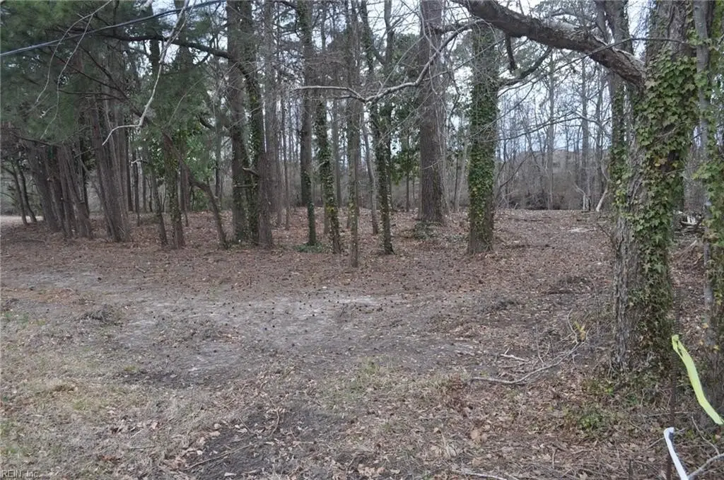 Picture 7