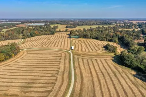 Gibson County Farmland Opportunity