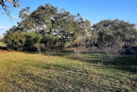 Hallettsville Land with Road Frontage