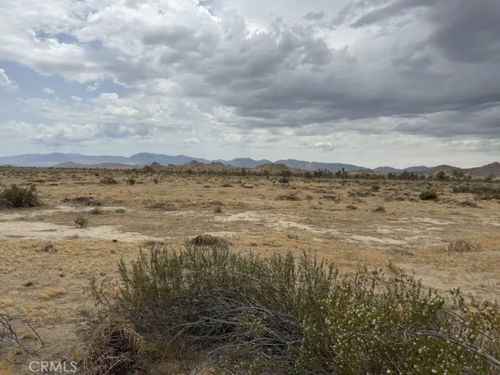 Picture 39