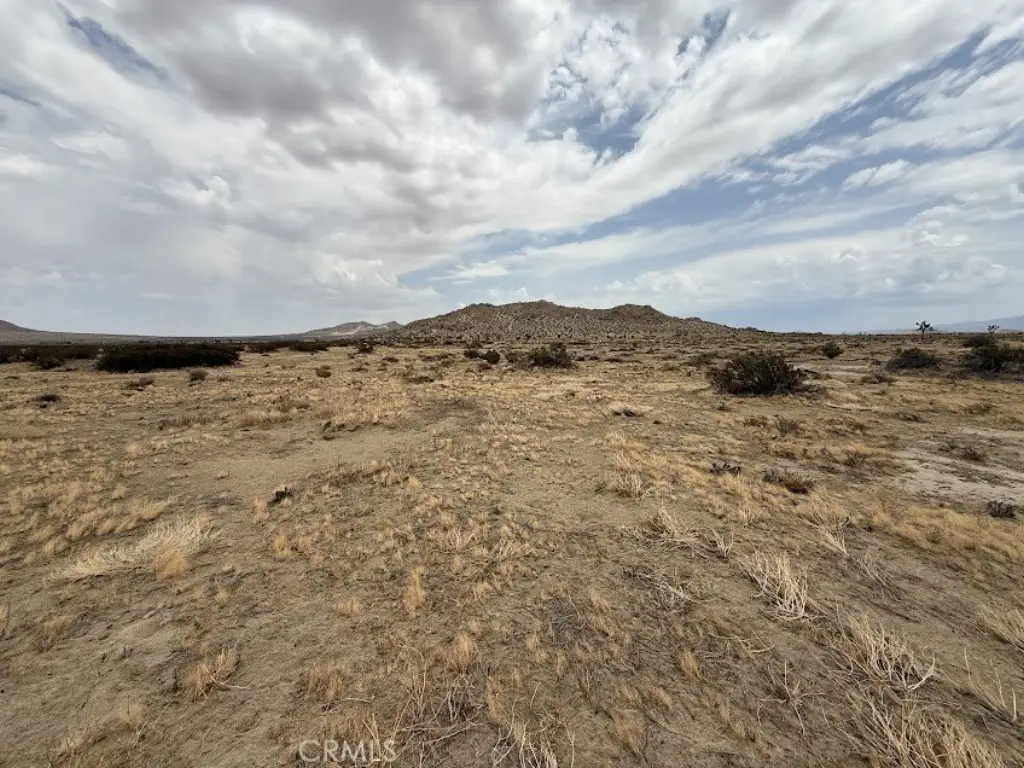 Picture 49