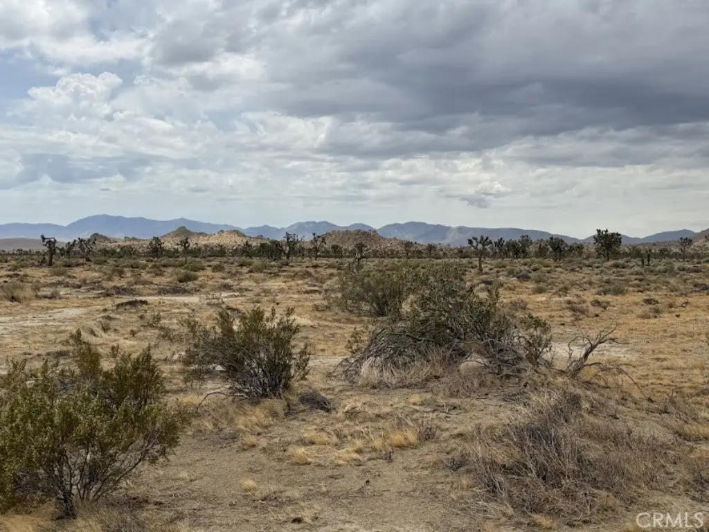 Picture 46